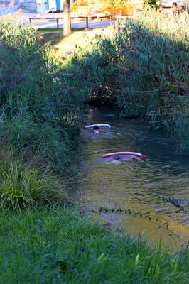 Posten_05_Andrea_Rüegg