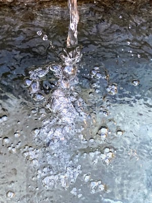 Dahinden Fredy Wasser