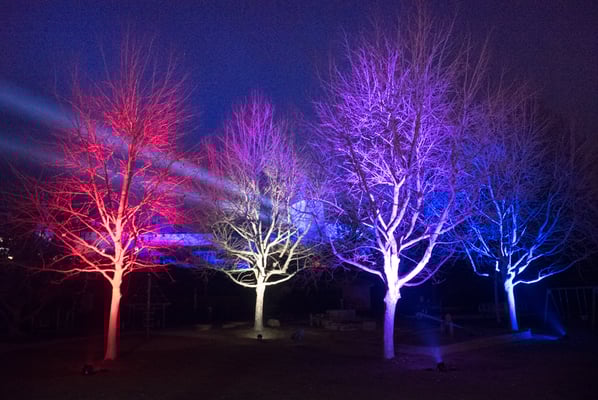 Foto: Jürg Berchtold