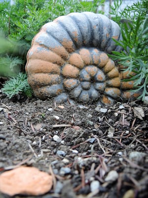 Dragica Radic-Radovanovic