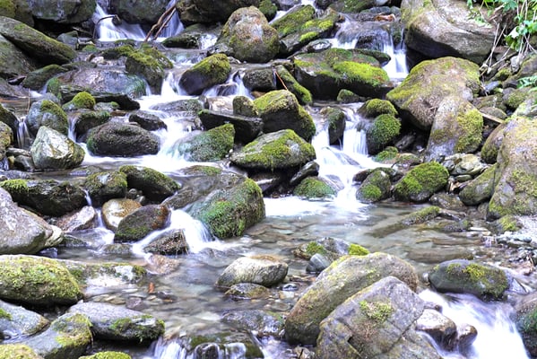 Dahinden Fredy Fluss