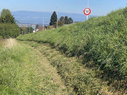 Zürcher Hans - Feldweg