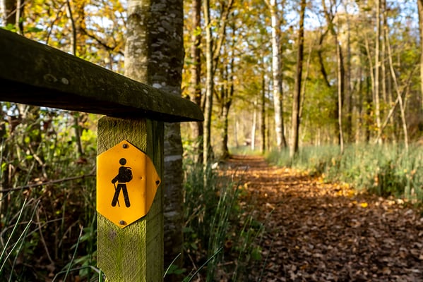 Balmer Pascal - Sentiero Giallo