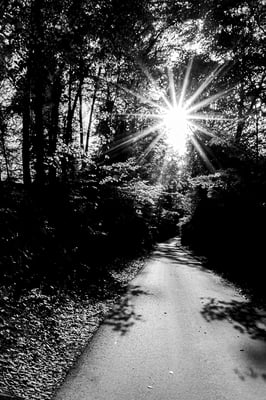 Balmer Pascal - Weg zur Sonne