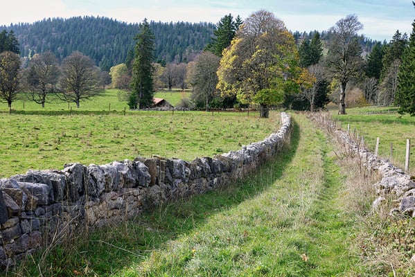 15 Piller Willi - Im Jura