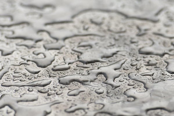 08  Buess Markus - Erdteile