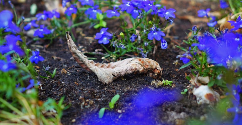 18 Streit Natascha - Simple Things