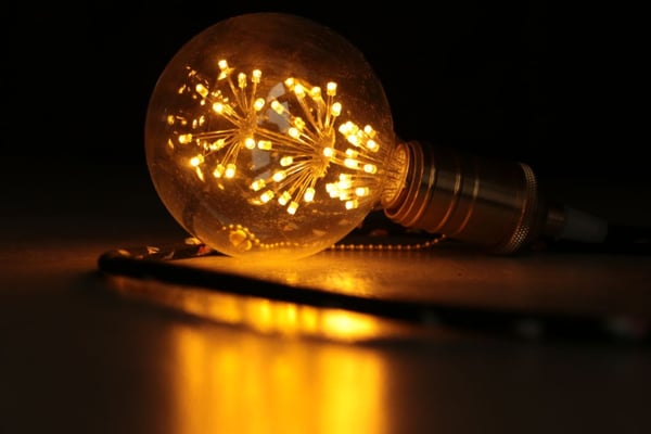 05 Hecke Bea - Glühend