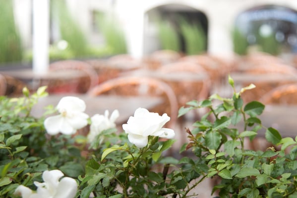 Posten_01_ Jürg Berchtold