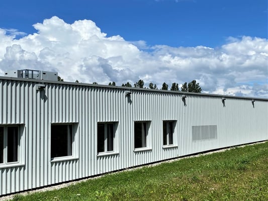 Zürcher Hans - Fenster