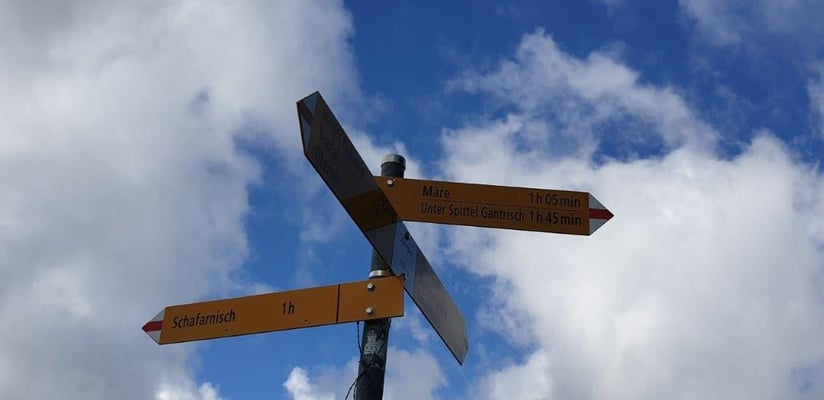 Foto: Dragica Radovanovic