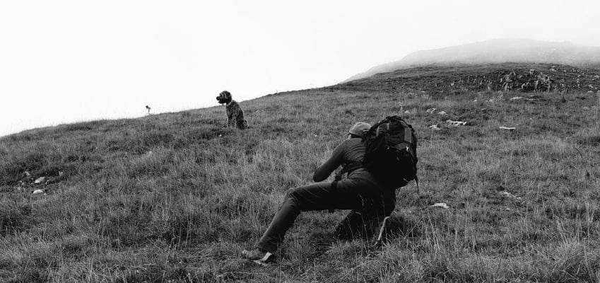 Foto: Dragica Radovanovic