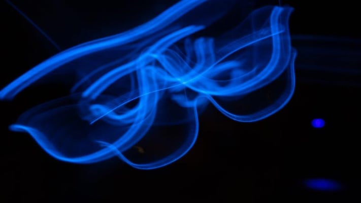 Foto: Katharina Etter_Brillenträgerin