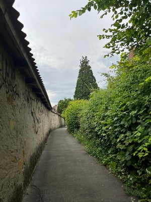 3-1 Radic-Radovanovic Dragica