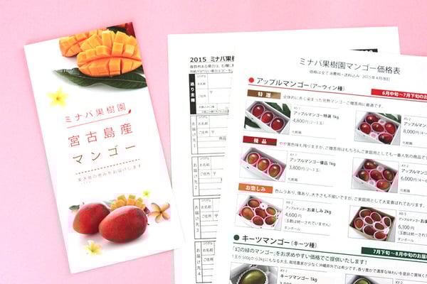 パンフと合わせて制作した価格表と注文書。