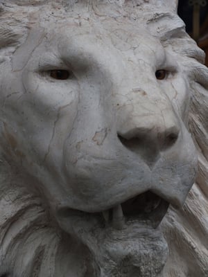 Lion Head 80 cm. Price on request