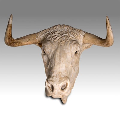 Bull Head 80 cm. Price on request 