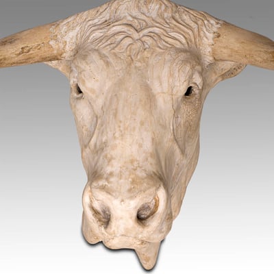 Bull Head 80 cm. Price on request 