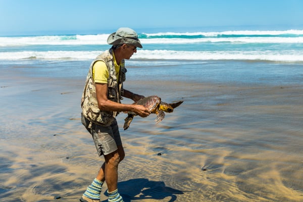 Freilassung der befreiten Schildkröte bei der Wanderung am Donnerstag