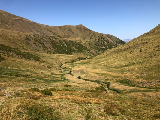 Prairie de la vallée d'Eyne  © Benoit Dudragne