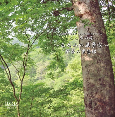 ある山の風景《山No.６富士の鳥》