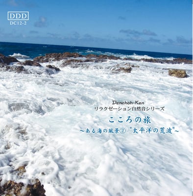 海の風景《海No.２太平洋の荒波》