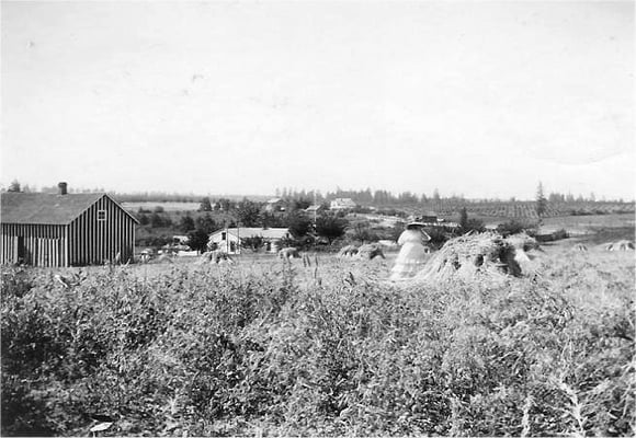 Mary Johnson in a field of wheat at the Johnson farm, corner of Forker and Judkins View includes the O.H. Allison store (built in 1905, burned in 1921), Rood’s Orchard, and the Olson blacksmith shop