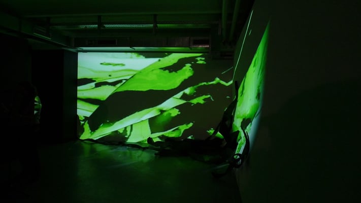 Arkatron, Eröffnung am 5.10.2010 Monika Humm Rauminstallation seaweed