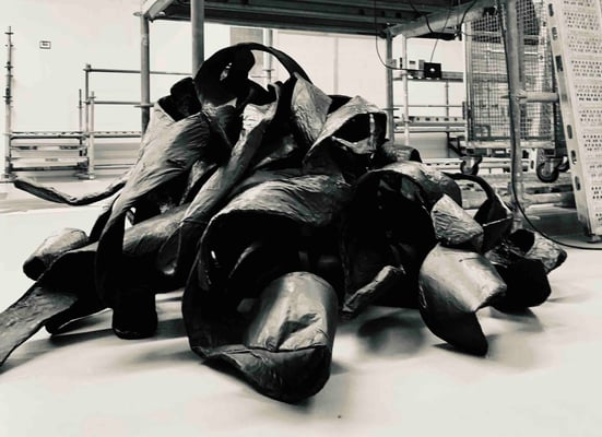 Monika Humm, Installation Seaweed, 2022