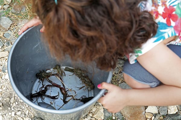 peche de poissons au camping
