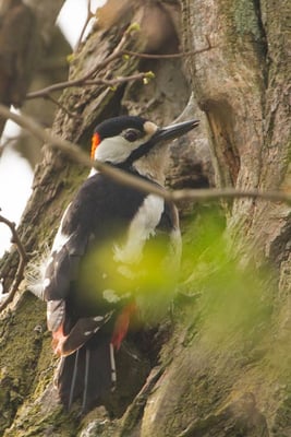 17.04.2015 Schwieberd.