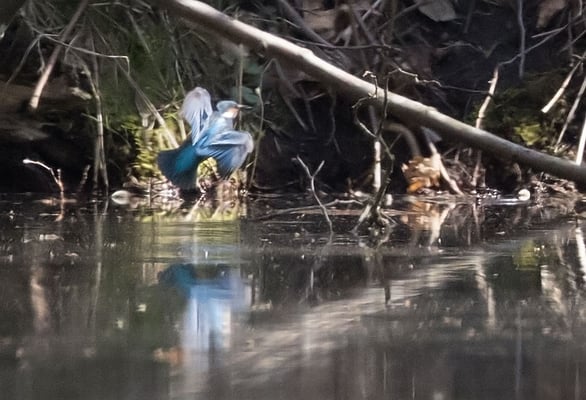 19.04.2022 Müritz Kanufahrt Boek