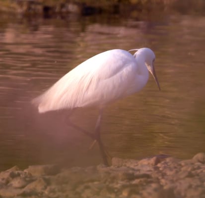 25.06.2015 Ludwigsburg