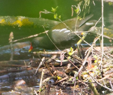 26.4.2015 Unterriexingen