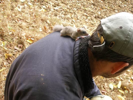 9.10.2009 Hemmingen Zeilwald Foto: Günter Breuer