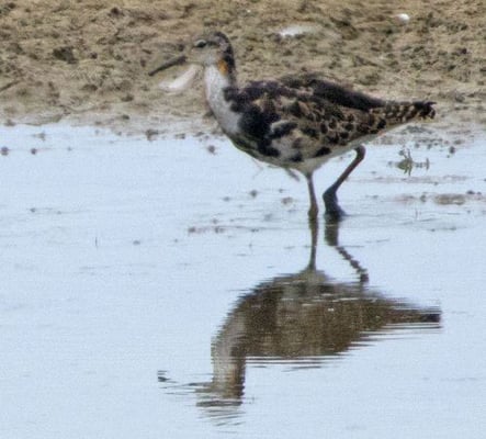 09.07.2022 Guenzburg