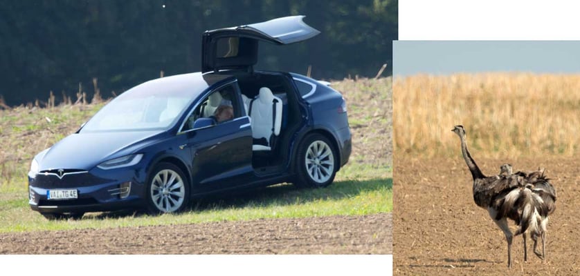 26.8.2019 Steinort (SH, RZ)