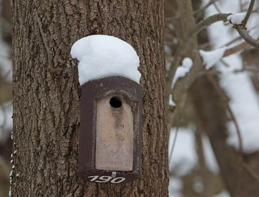 14.2.2010 Markgröningen Leudelsbachtal ND 25/06 Kamera: Canon EOS 5D MkII / 100-400