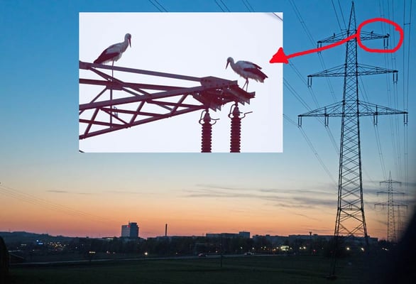 10.04.2015 Schwieberdingen