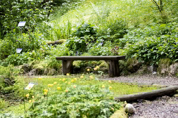 Für Interessierte haben wir einen eigenen Kräutergarten angelegt, der jederzeit kostenlos besucht werden kann.