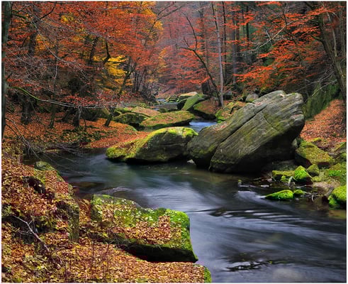 Herbst in der Edmundsklamm bei Hrensko.
