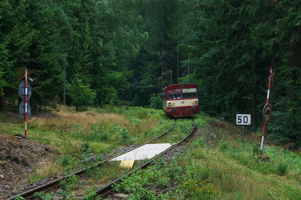 810 165-1 Rumburk - Mikulášovice im "Dschungel" nahe Brtníky, 29.07.18
