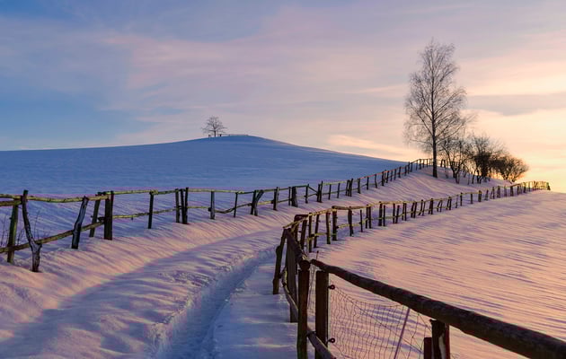 Der kleine Vulkan - Hankehübel bei Goßdorf.
