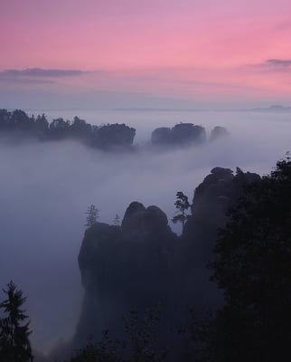 Mystisch nebliger Morgen im Basteigebiet. 