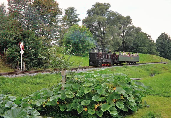 Pendelfahrt ins Auszugsgleis in Richtung Hohnstein...