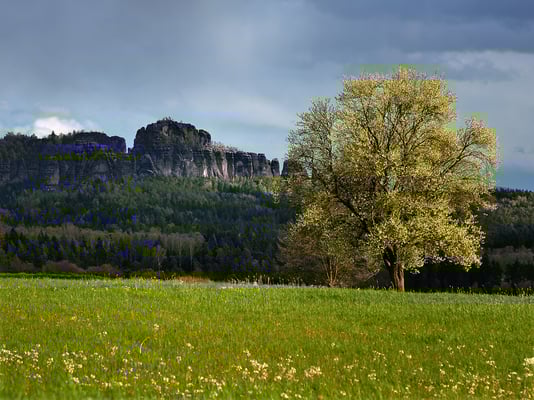 Blick zu den Schrammsteinen. Aufgenommen vom Adamsberg bei Altendorf. 