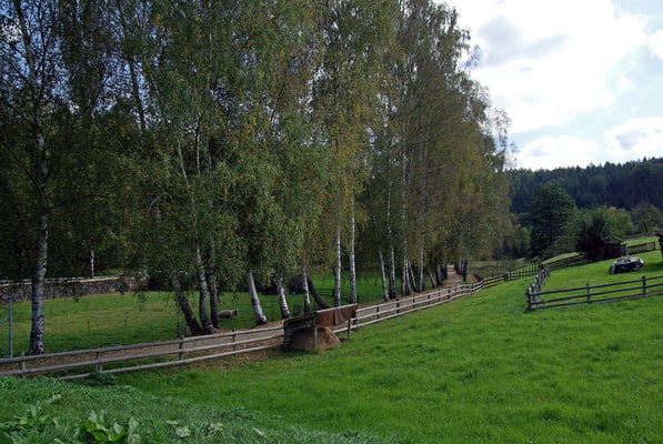 Die 3 Kilometer bis zum ersten Etappenziel: Gleich hinter Lohsdorf geht es bergab zum Eingang ins Schwarzbachtal, die vielen Birken am Bahndamm werden wohl dran glauben müssen ... 26.09.09