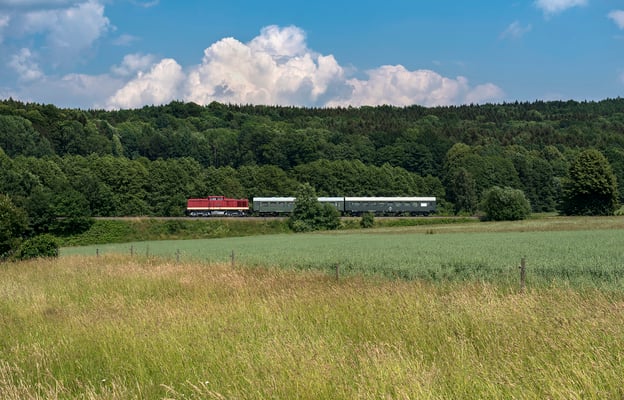 Bei Krumhermsdorf geht es durch die sattgrüne Sommerlandschaft, 27.06.2020