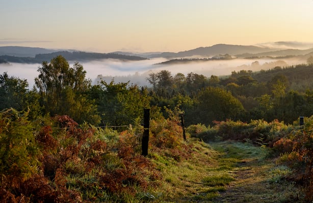 Sonnenaufgang am Adamsberg, unter dem Nebel liegt das Sebnitztal. 