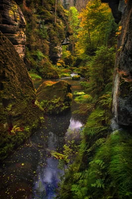 Wilde Klamm bei Hrensko.